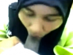 malay kerani blowjob