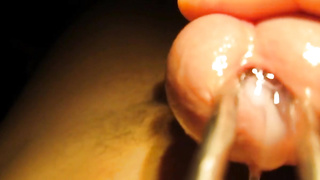 Urethral sounding and stretching with cumshot