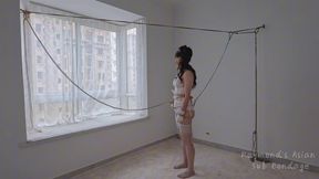 Slave-Powered Hoist Fun