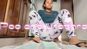 urine and urethra