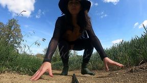 promenade dans les champs