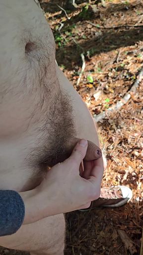 Naked quick cum on log seat while hiking along a wooded trail in public