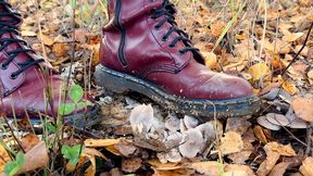 Docs Mushroom Crush