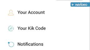 kikt37kilsskypstripedlemurt 20161031 231339