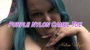 Purple Nylon Camel Toe (wmv)