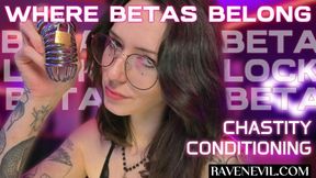 Where BETAS Belong - Chastity Conditioning