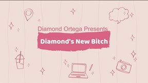 Diamond's New Bitch