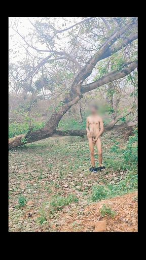Forest Tree Nude Sex