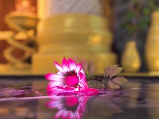 Shemale hentai big beautiful woman Hard Screw Manga Animation