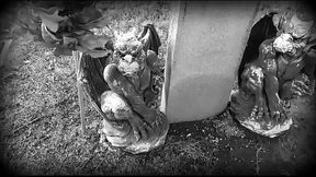 Inside A Grave