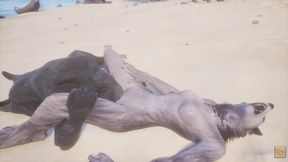 Wild Life / Rasha Furry Wolf Girl at the Beach