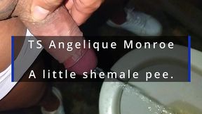 ts angelique monroe - a little close-up pee video