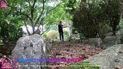 Femdom Pony Slut Bondage Slave Outdoor Walk