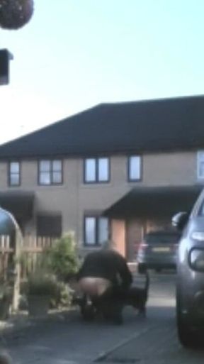Bum Day Compilation