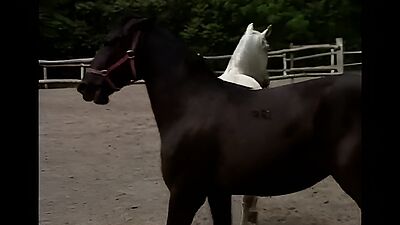 xvideos.com 975168c05234ffb3b3966226d738fa4a