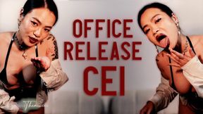 OFFICE RELEASE CEI