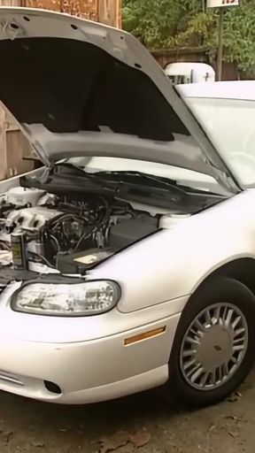 Yvonne Paradise: the Mechanic Makes Me Feel It All Inside