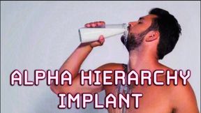 Alpha Hierarchy Implant | Encouraged Bi CEI