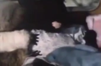 Retro vintage blonde big cock cumshot hairy lingerie cute