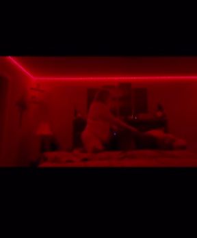 Black bear getting slutted out real good