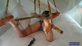 I'm a Cum-puppet - Colored Version