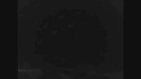 April 2019 Fart Compilation