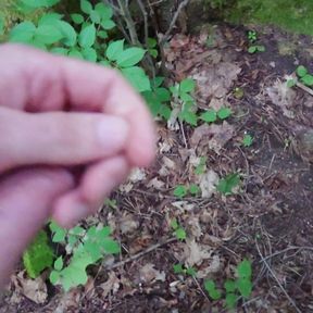 Cumming in the forest after work