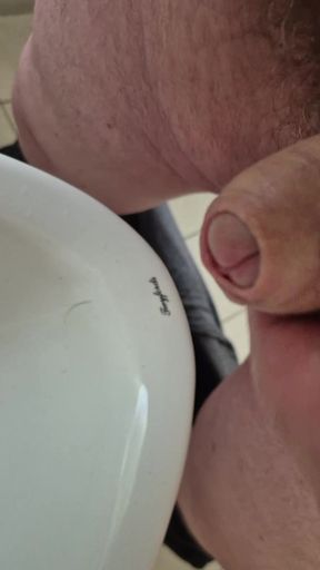 Public toilet wank