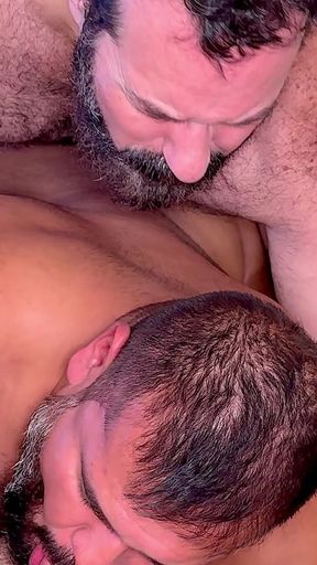 Bear Territory 1 4K