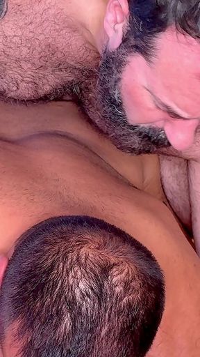 Bear Territory 1 4K