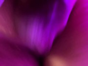 Bull fucks hotwife slapping her pussy with big balls full of sperm. Full on OF|Wonderlandpassion