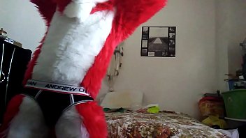 Dancing Masturbating Fox