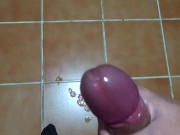verga húmeda y caliente se corre