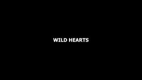 Wild Hearts 2 - Julia Morozzi