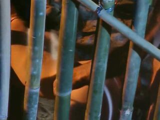 Sex Prisoners Of War