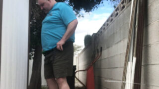 Couple, bareback, family, quickie &#8211; public film of bear amateur gay sluts getting anal fuck, big dick