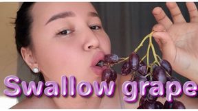Swallow grape in cozy place