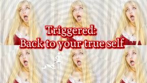 Triggered: Your daily dose of danger