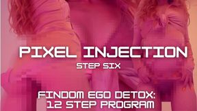 FINDOM EGO DETOX PROGRAM: PIXEL INJECTION [STEP 6/12]