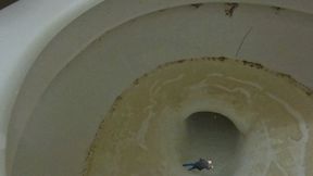Teenie Swims in a giantesses Huge Nasty Toilet 1080 smaller