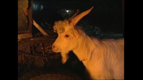 Hot Vintage Slut with Big Tits and Tight Pussy Ass Fucked and Cumshot in Mouth