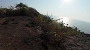 GOA India Mount Arambol
