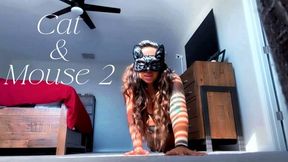 Cat and Mouse 2 (mp4)