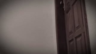 Showed the dick to the neighbor and she grabbed it.