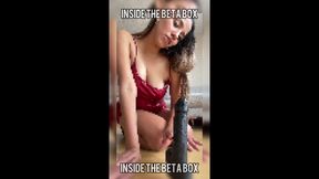 Inside the Beta Box Cock Tease