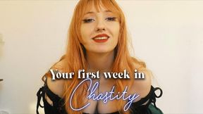 Your first week in chastity