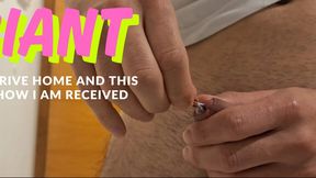 Giant : I arrive home and this is how I am received