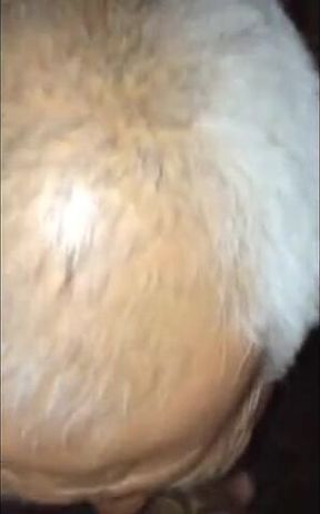 Amateur Asian Daddy Blowjob