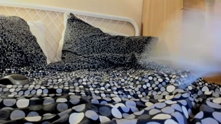 SISTER SPIVI LOVES ANAL