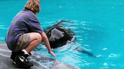 Frreee.Wiillly.1993.Movv vie